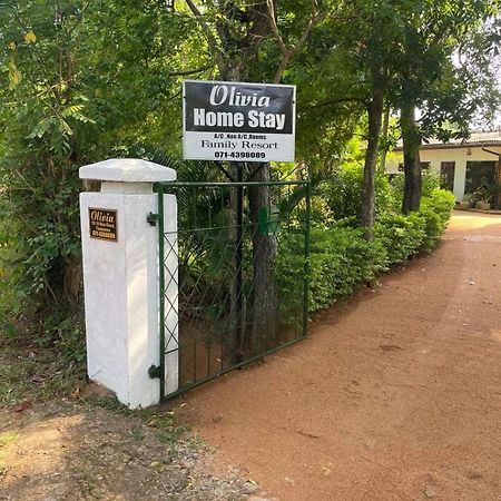 Olivia Homestay Anuradhapura Kültér fotó