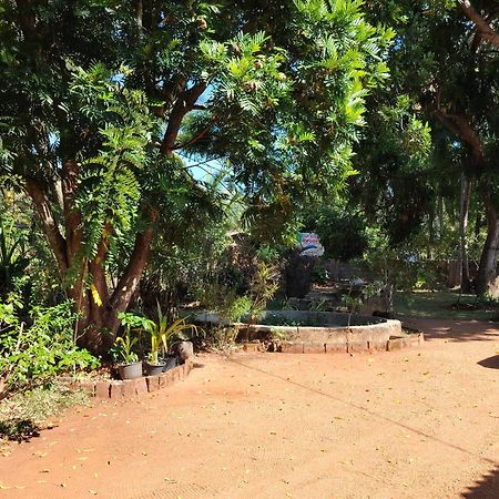 Olivia Homestay Anuradhapura Kültér fotó