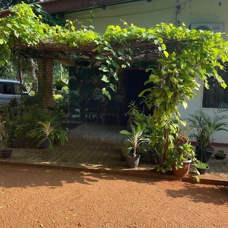 Olivia Homestay Anuradhapura Kültér fotó