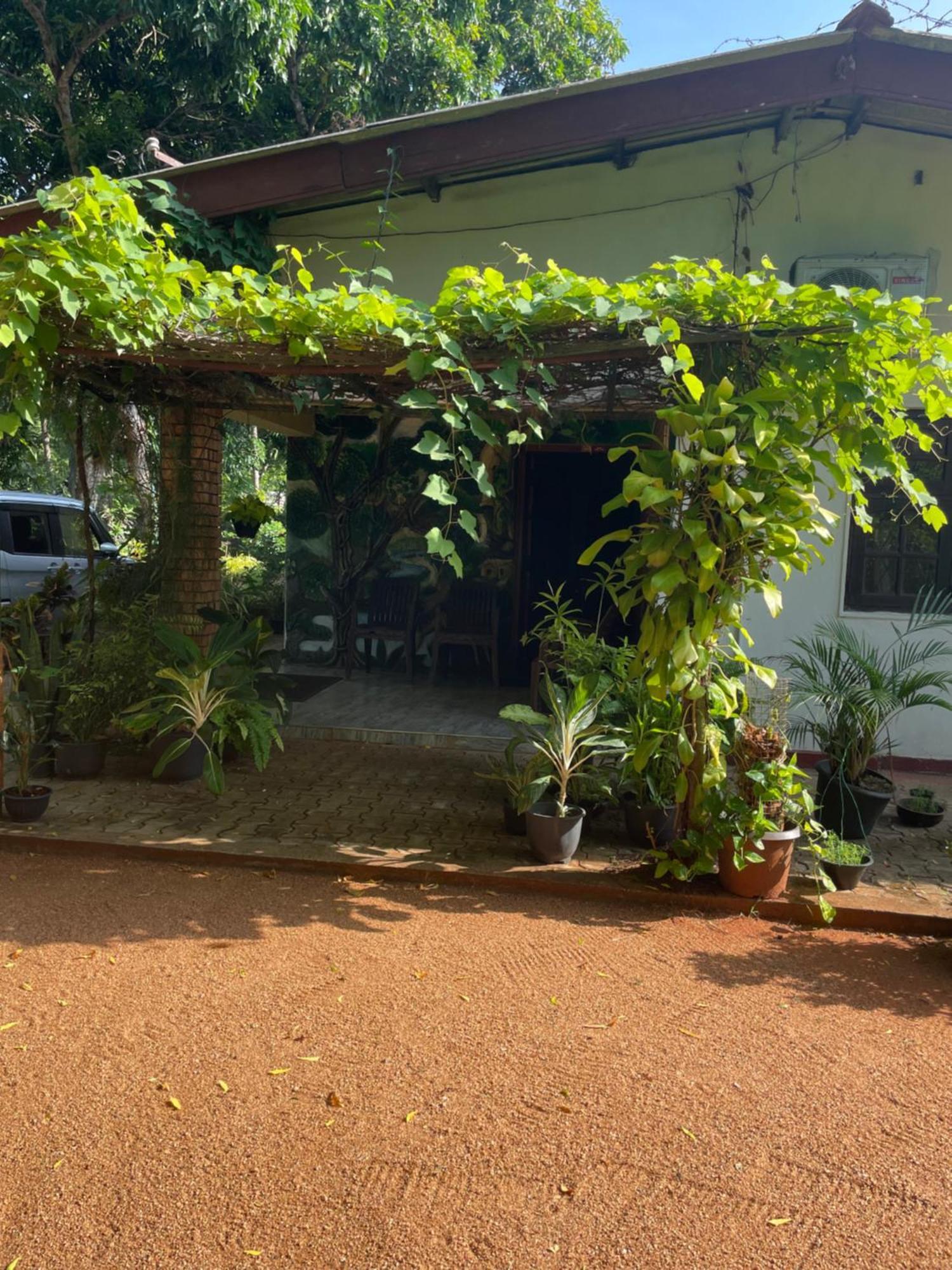 Olivia Homestay Anuradhapura Kültér fotó