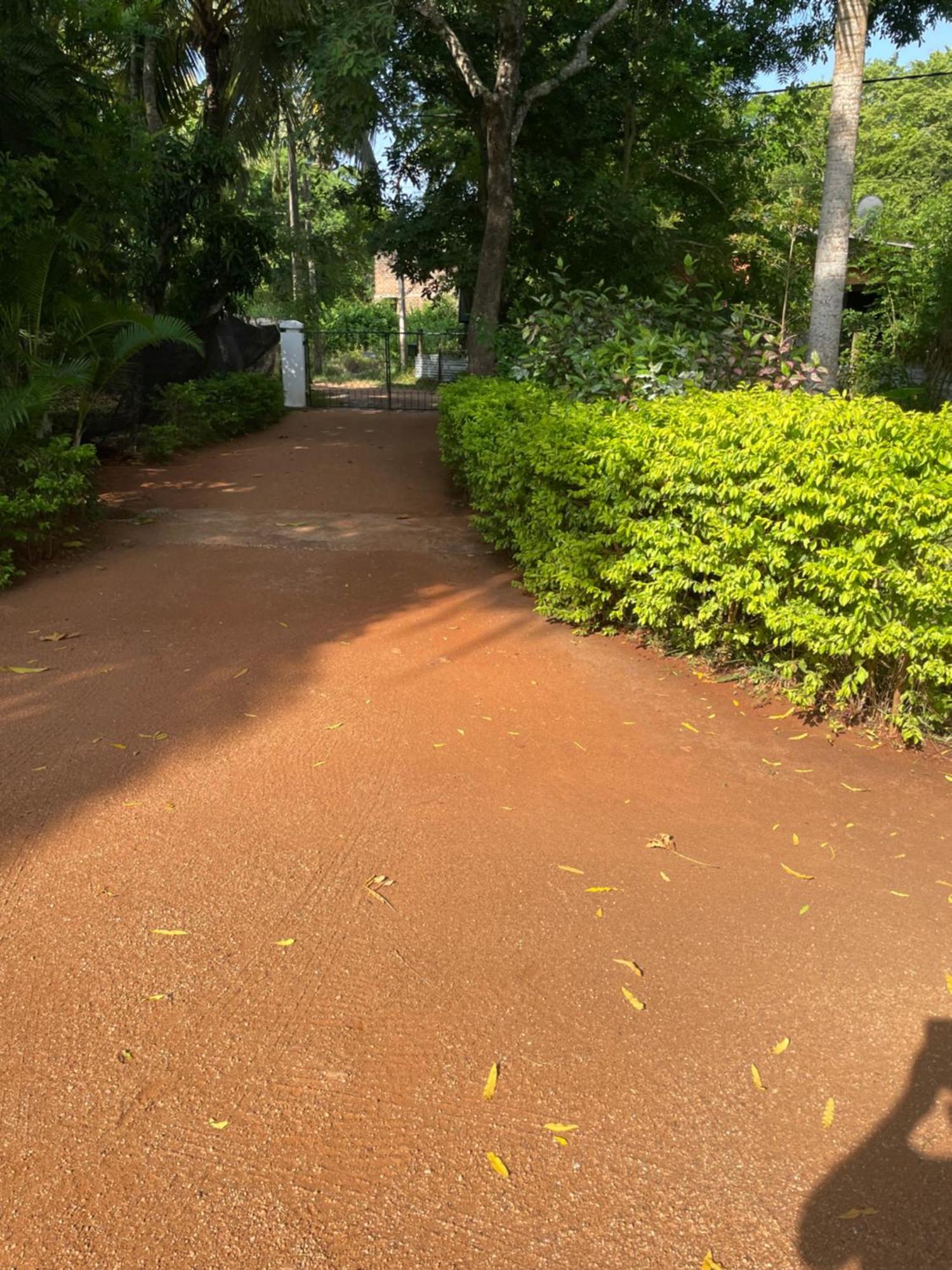 Olivia Homestay Anuradhapura Kültér fotó