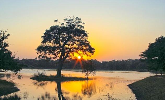 Olivia Homestay Anuradhapura Kültér fotó