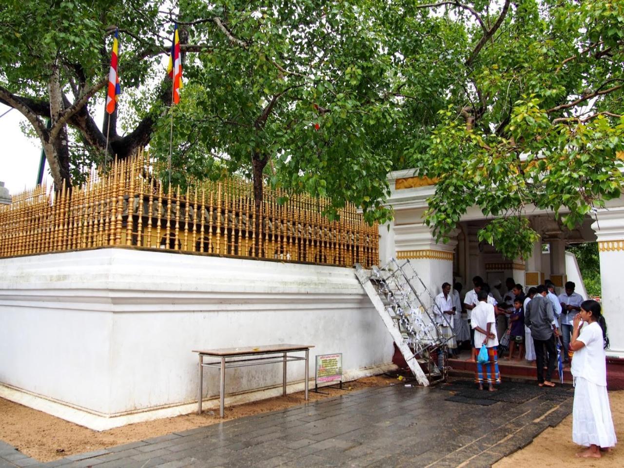 Olivia Homestay Anuradhapura Kültér fotó